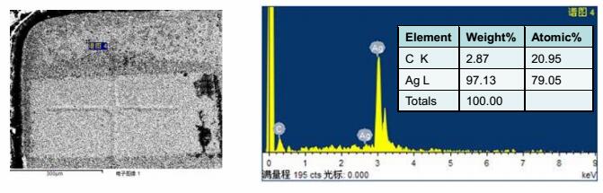 進行EDX分析，確認支架本身不含硫